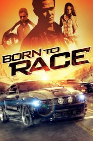ดูหนังออนไลน์ BORN TO RACE (2011) ซิ่งเบียดนรก